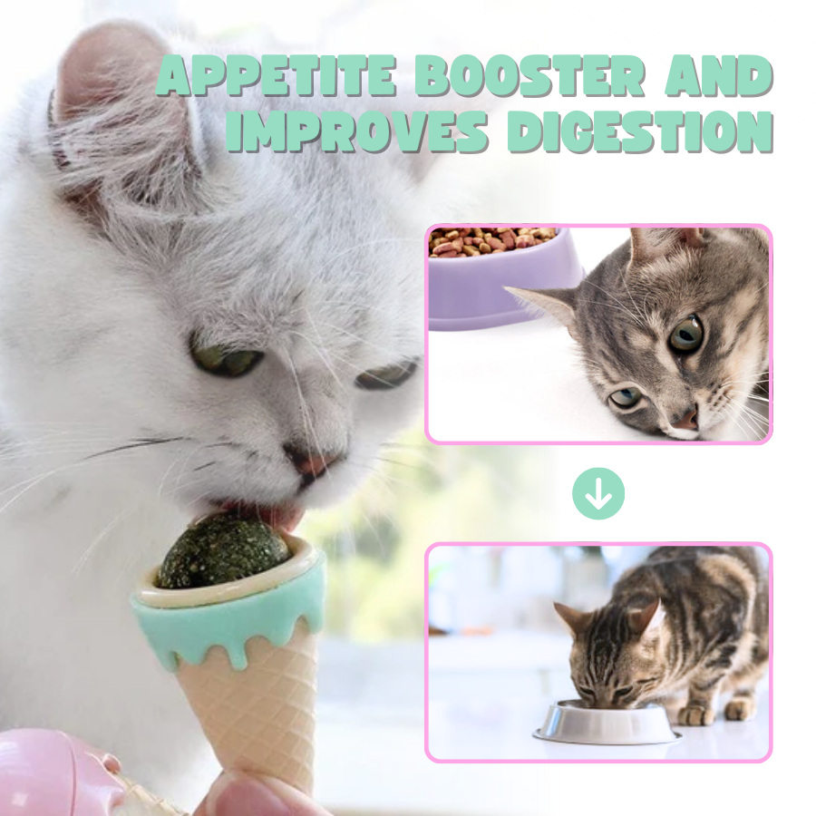 Icecream Catnip Ball Interactive Cat Toys