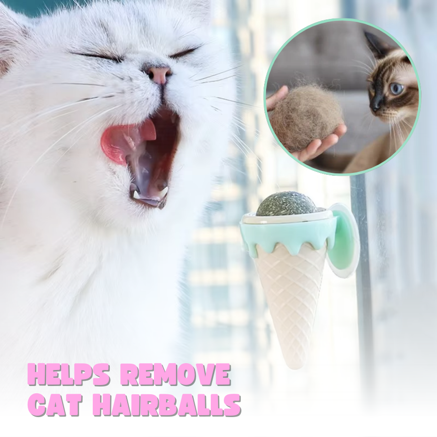Icecream Catnip Ball Interactive Cat Toys