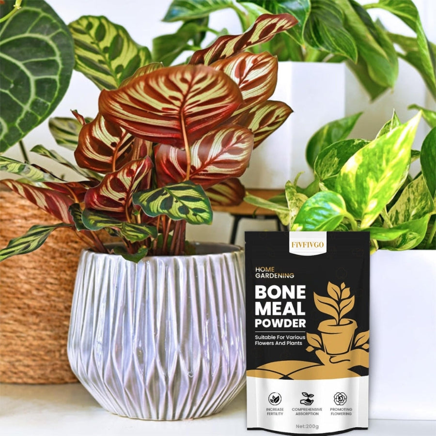 Fivfivgo™ Bone Meal Powder