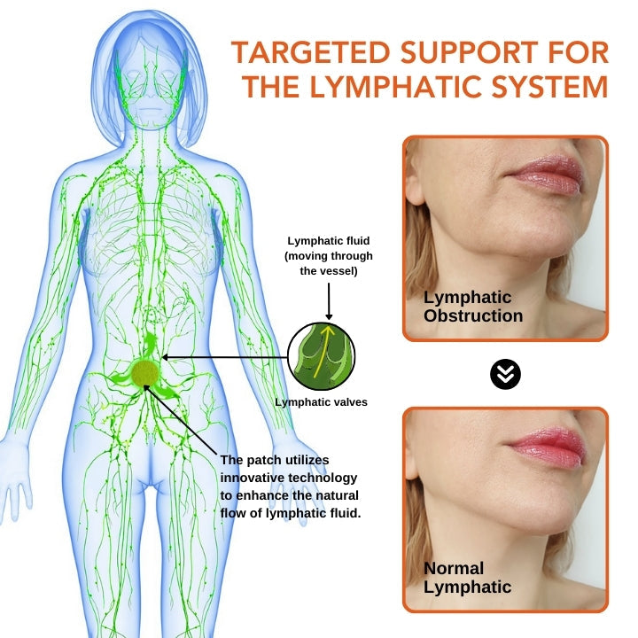 Fivfivgo™ LymFatTake Fleur d'oranger Patch élancé