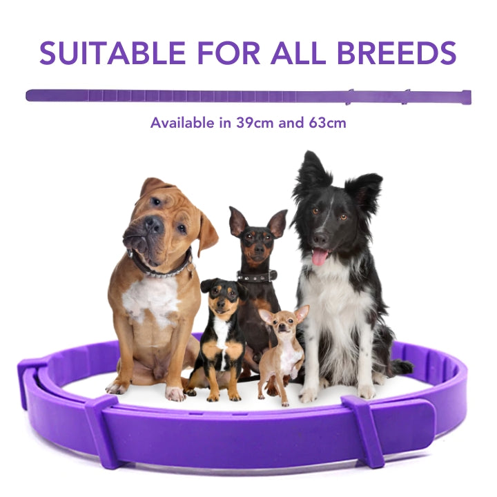 Fivfivgo™ VerminOFF Ceinture de Santé pour Animaux de Compagnie Sans Parasites