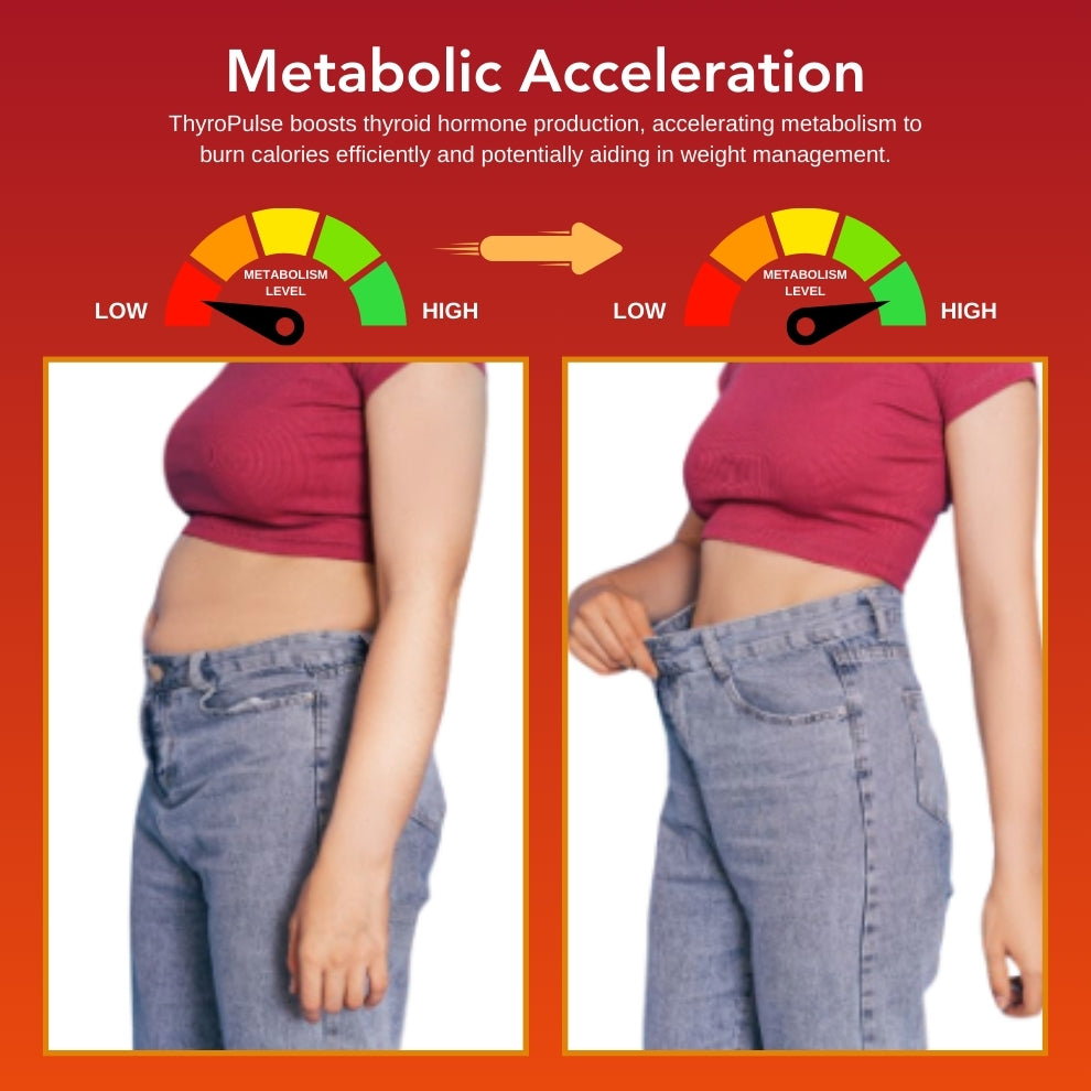 Fivfivgo™ ThyroPulse Microcourant Amélioration du Métabolisme d'accélération