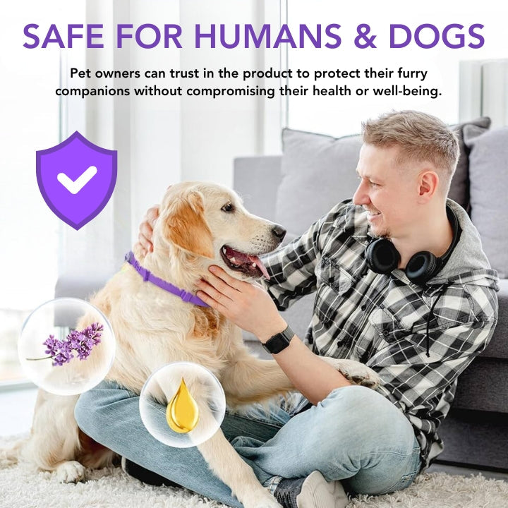 Fivfivgo™ VerminOFF Ceinture de Santé pour Animaux de Compagnie Sans Parasites