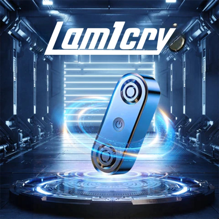 Lamicry™ Thermostat d'hiver pour faire fondre la neige à infrarouge