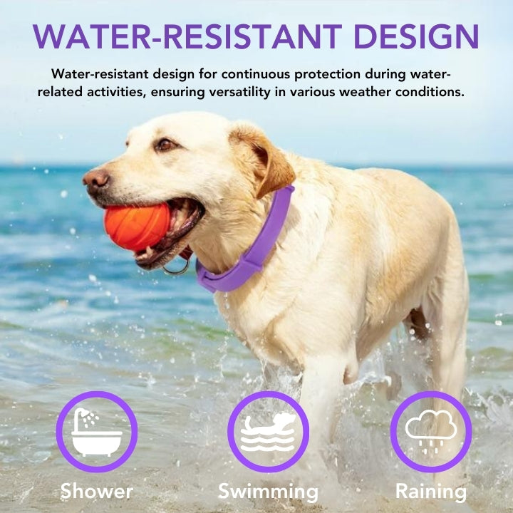 Fivfivgo™ VerminOFF Ceinture de Santé pour Animaux de Compagnie Sans Parasites