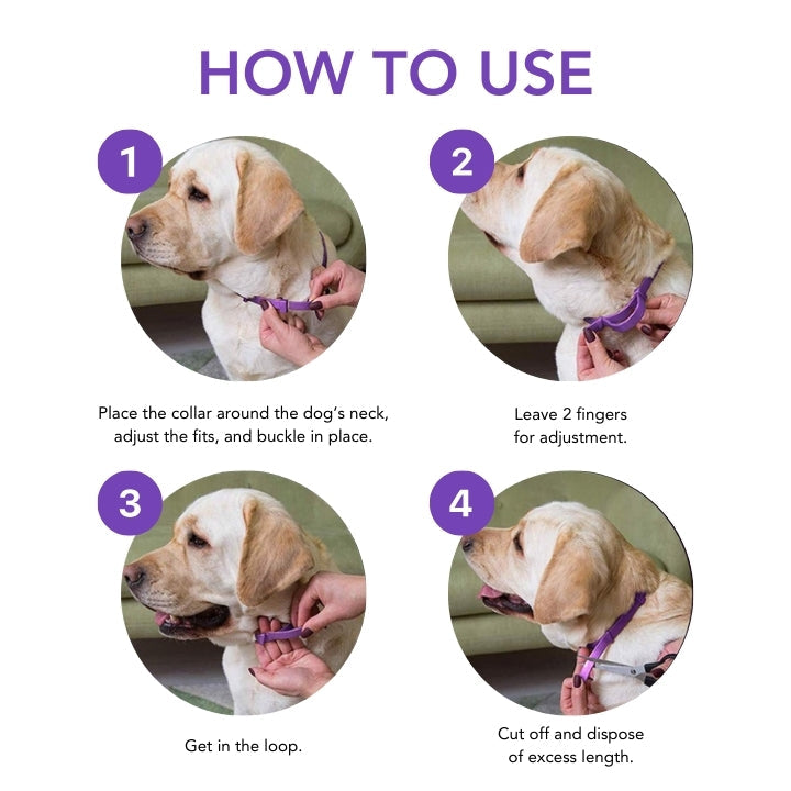 Fivfivgo™ VerminOFF Ceinture de Santé pour Animaux de Compagnie Sans Parasites