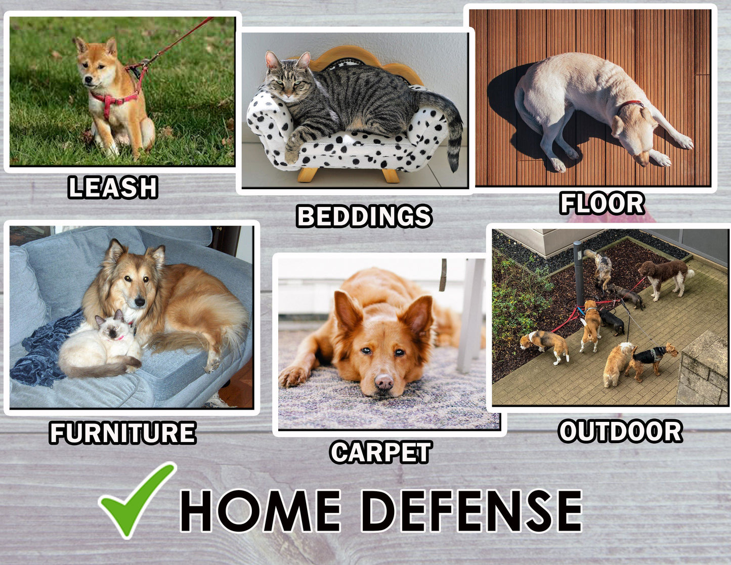 Lice Repellent Treatment Spray