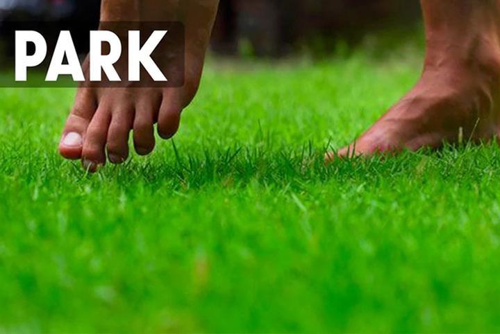 Invisible anti-skid insole---（Summer sale）