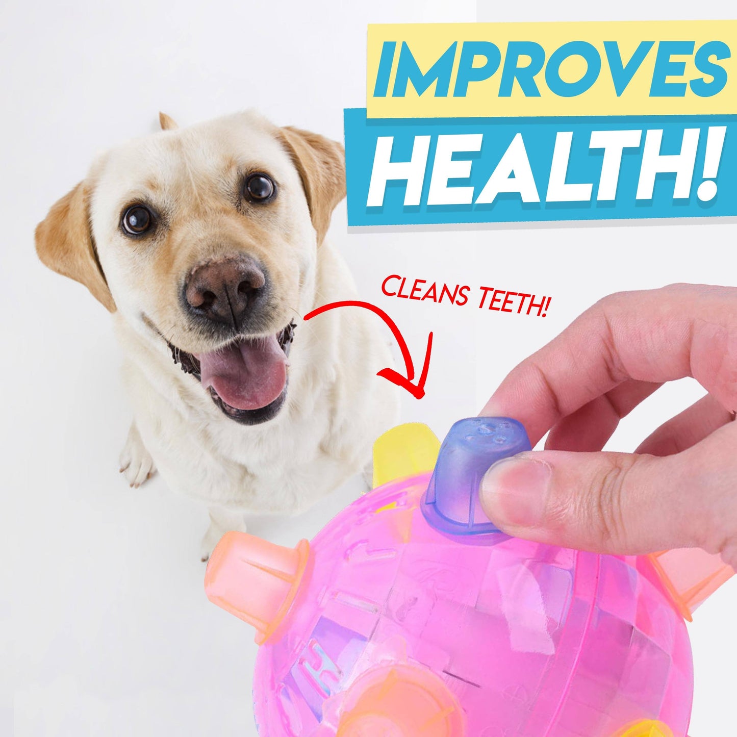 Jumping Activation Ball for Dogs