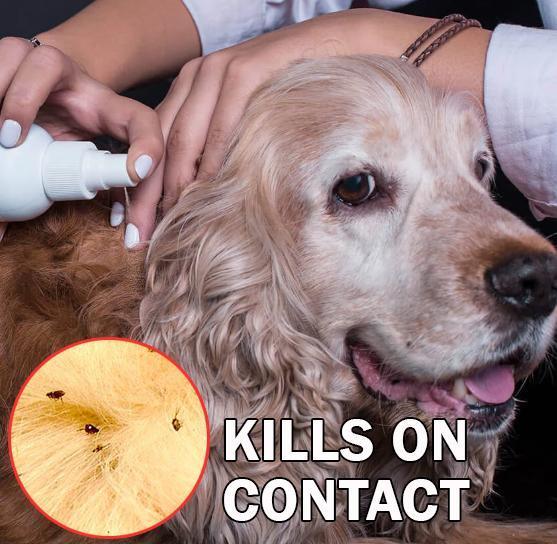 Lice Repellent Treatment Spray