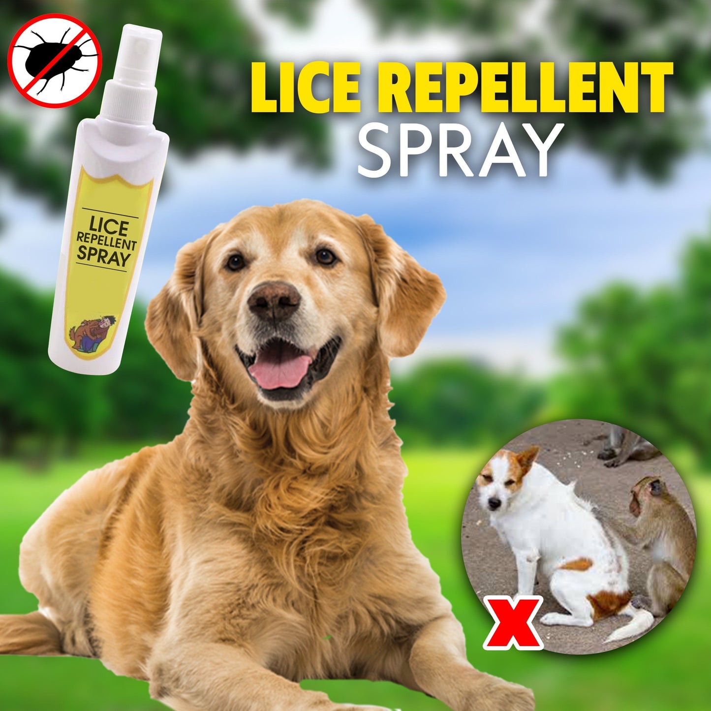 Lice Repellent Treatment Spray