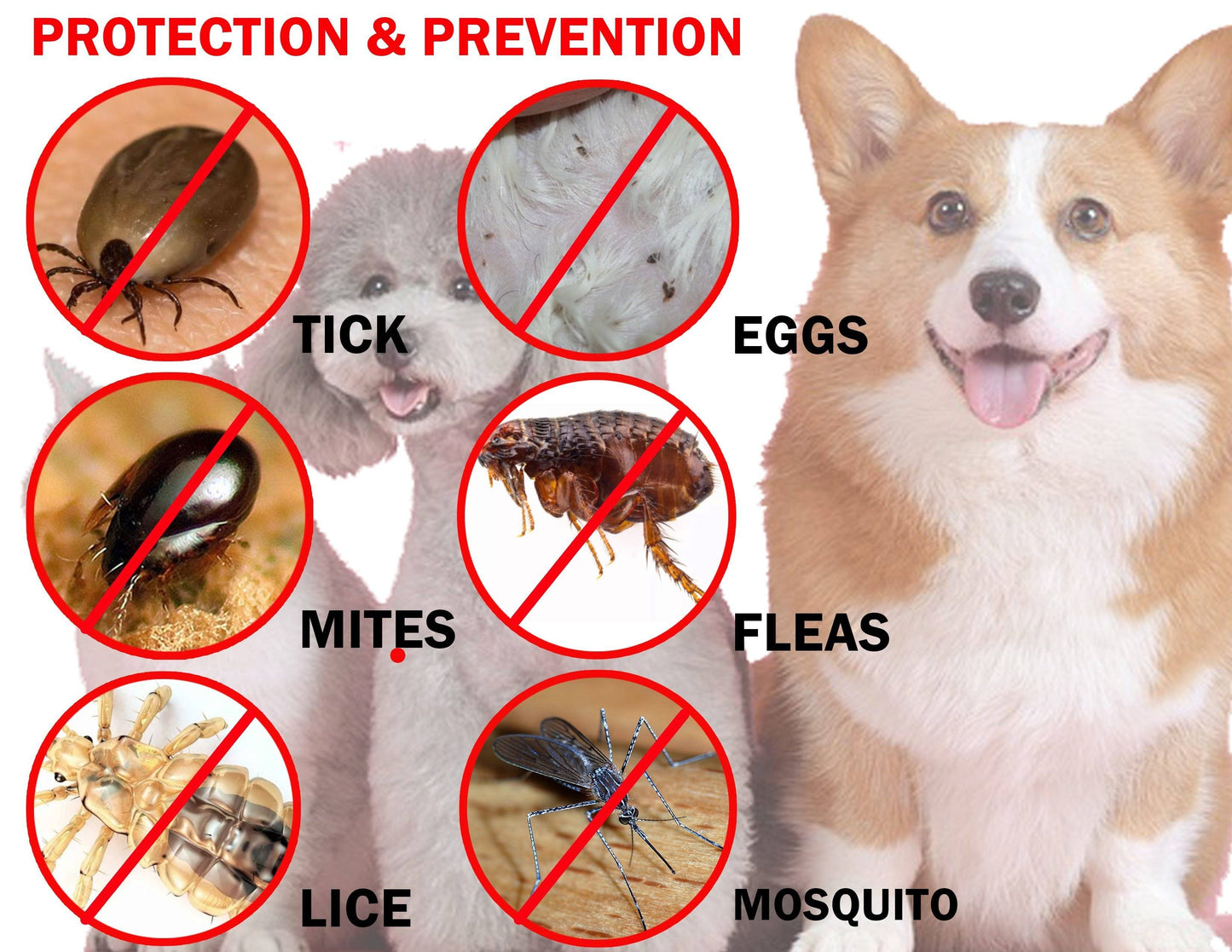 Lice Repellent Treatment Spray