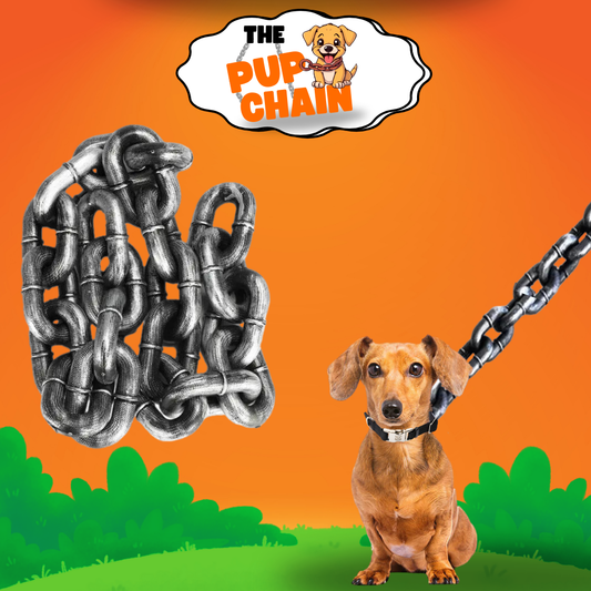 Puppy Chain Dog Leash