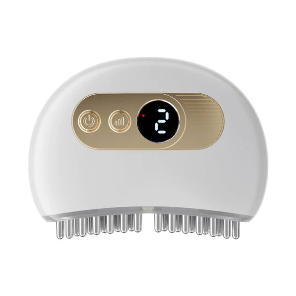 Fivfivgo™ EMS Hair Reborn Scalp Acupoint Massager Device