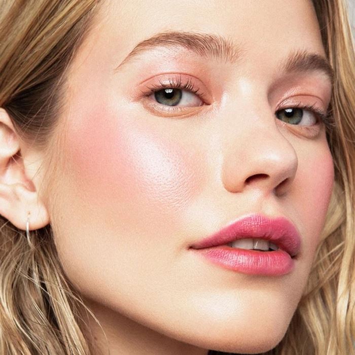 Multi-Use Eyeshadow Blusher Make-up Every Day And Night 
