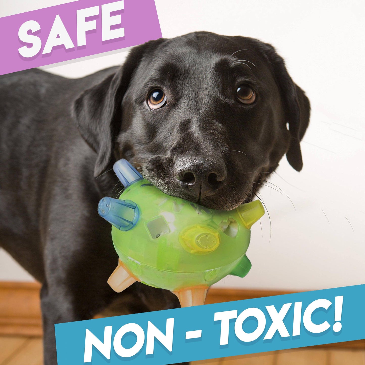 Jumping Activation Ball for Dogs