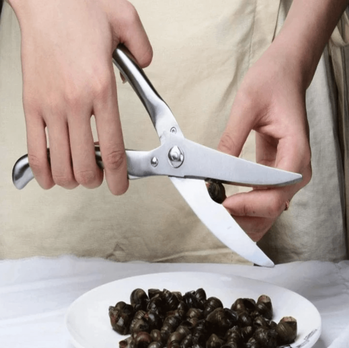 All in One Stainless Kitchen Scissors