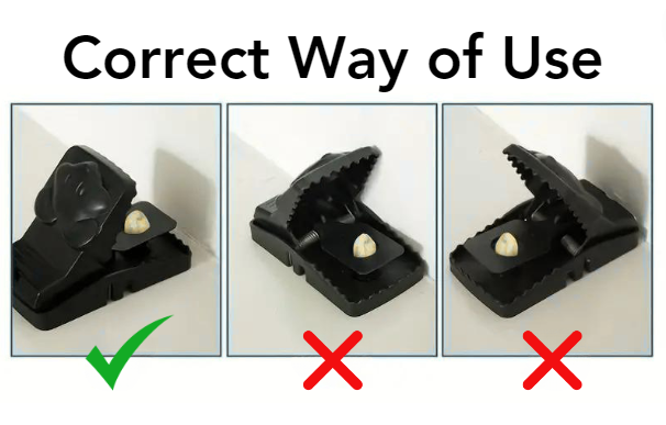 Fivfivgo™ Pièges à Souris Puissants