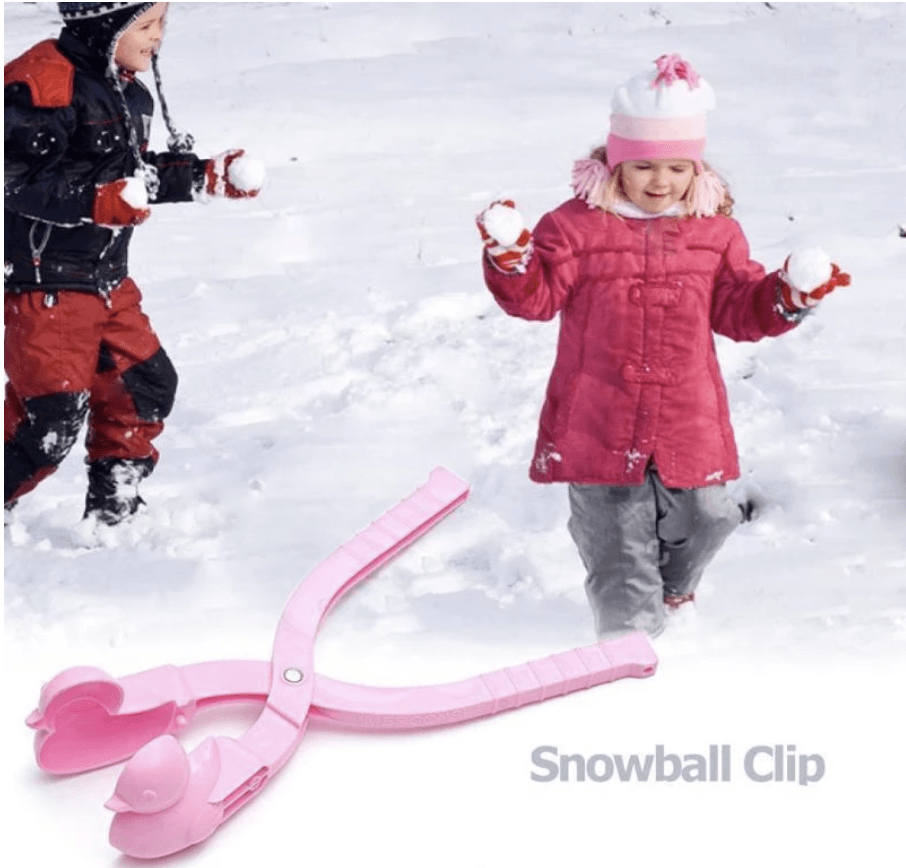 Adorable Snow Duck Clip