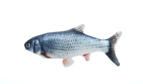 Cat Kicker Fish Toy