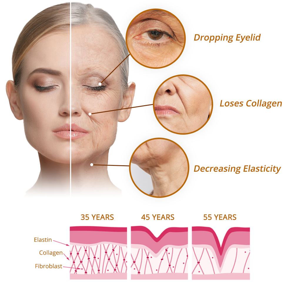 Fivfivgo™ Revita Glow Spot Whitening Serum