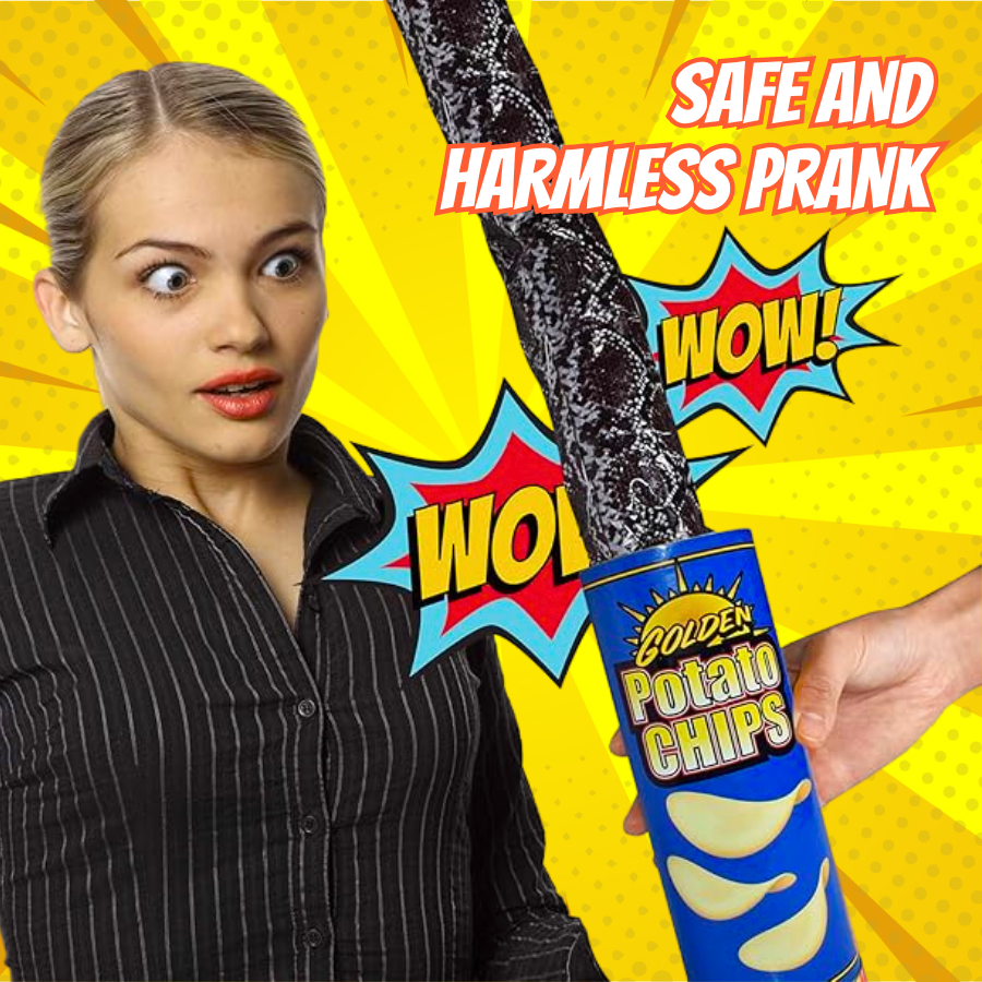 Surprise Chips Prank Toy