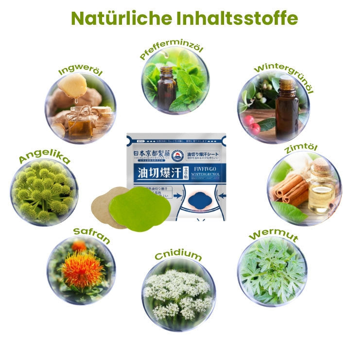 Fivfivgo™ Japan Infrarot Suana Therapie Wintergrün Entgiftungspflaster