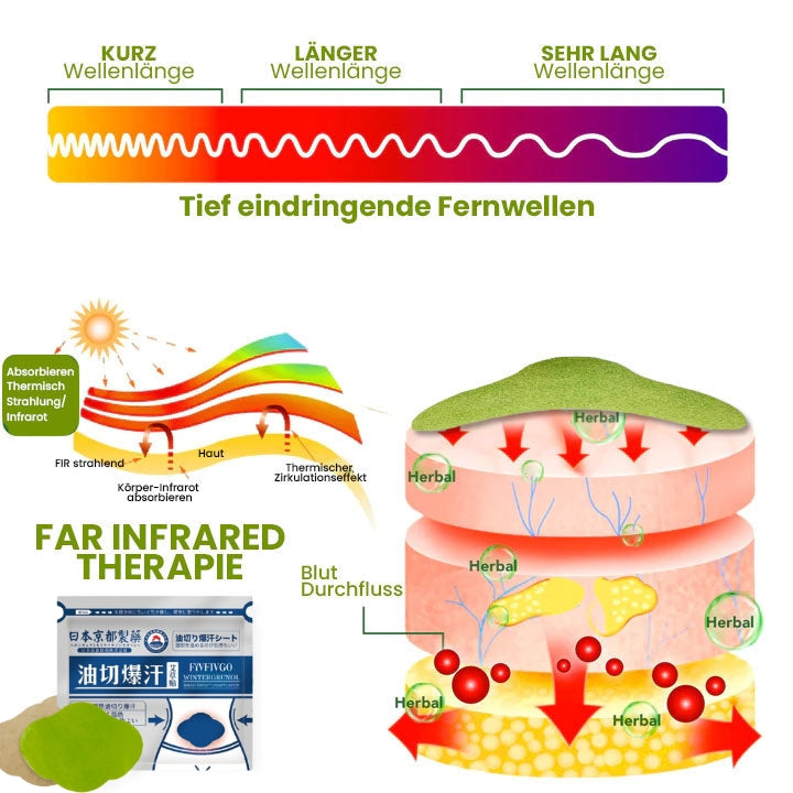 Fivfivgo™ Japan Infrarot Suana Therapie Wintergrün Entgiftungspflaster