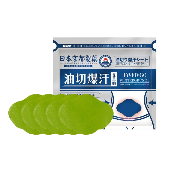 Fivfivgo™ Japan Infrarot Suana Therapie Wintergrün Entgiftungspflaster