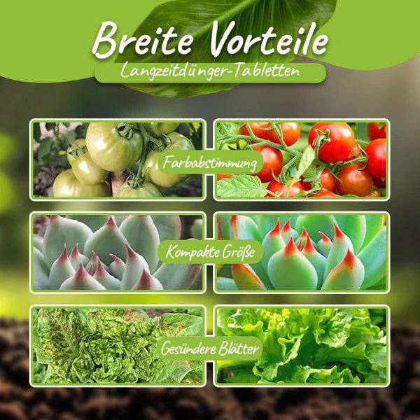 Fivfivgo™ VerdeVita Organische Langzeit-Düngertabletten