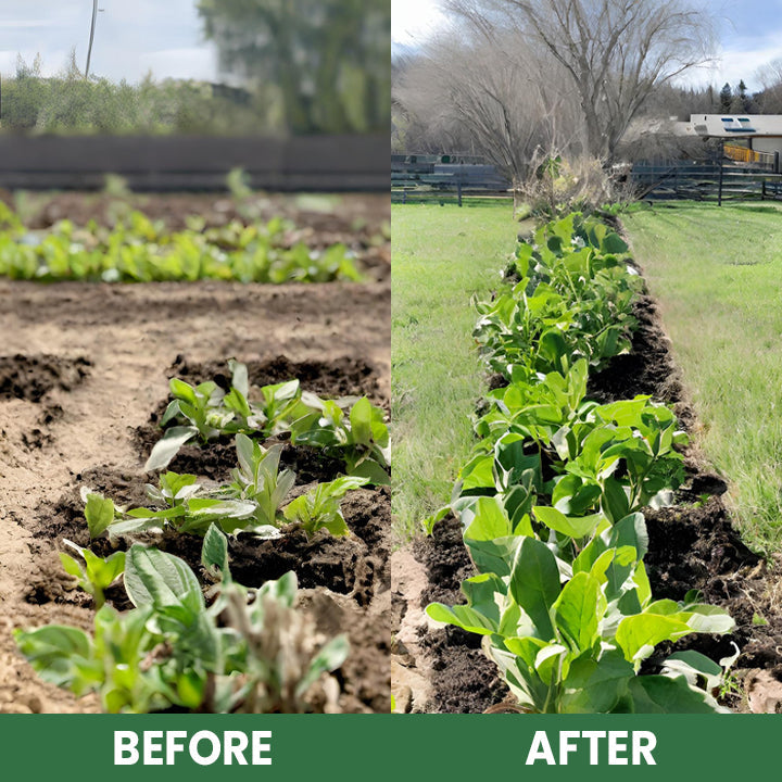 Plant Resurrection Liquid