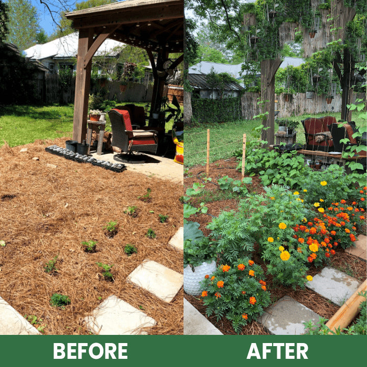 Plant Resurrection Liquid