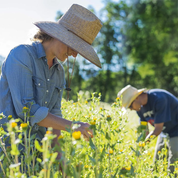 Plant Resurrection Liquid