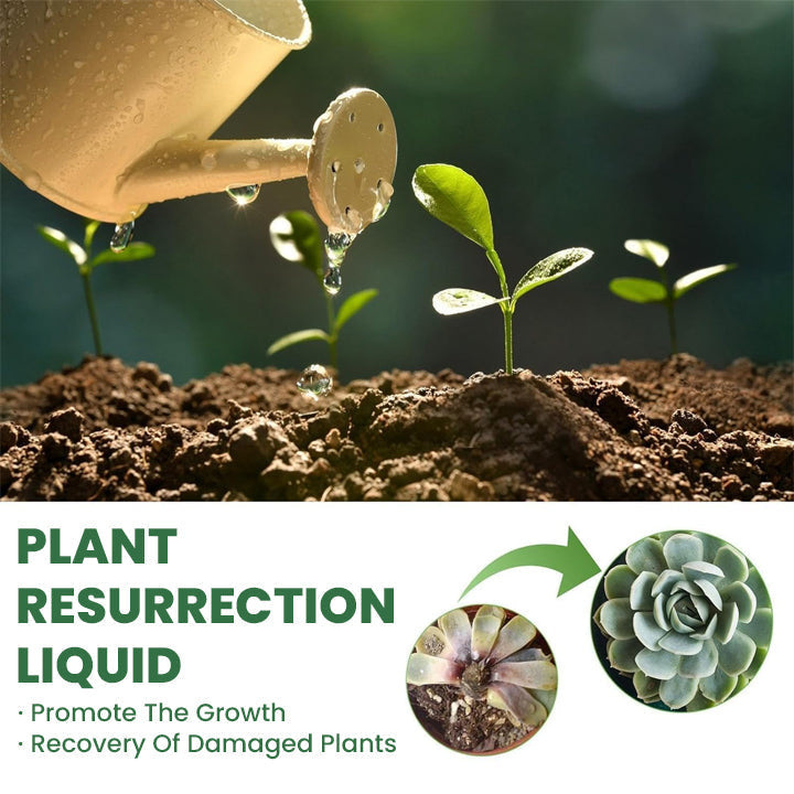 Plant Resurrection Liquid