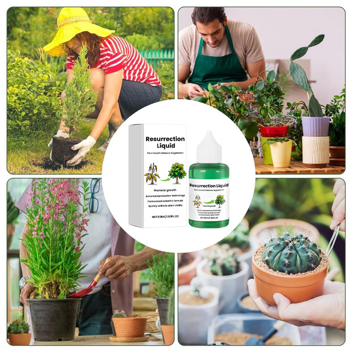 Plant Resurrection Liquid