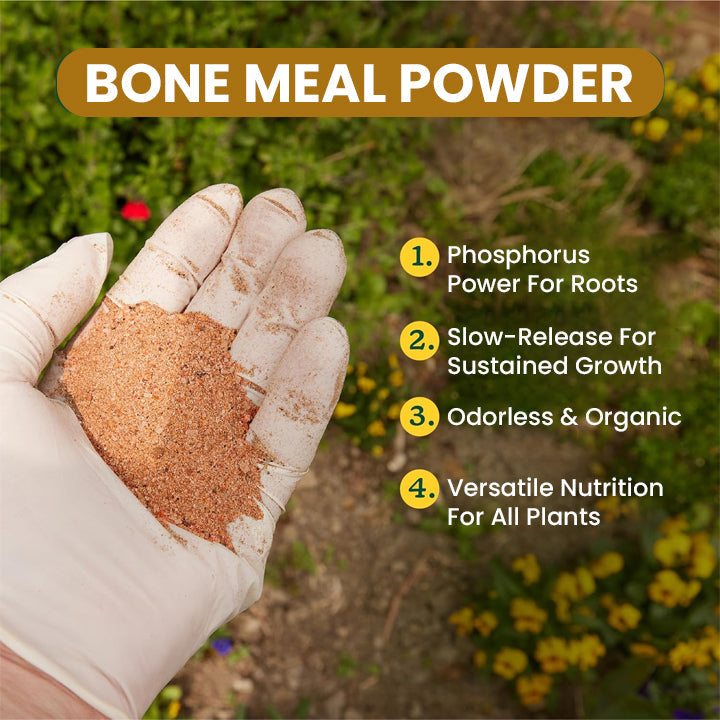 Fivfivgo™ Bone Meal Powder