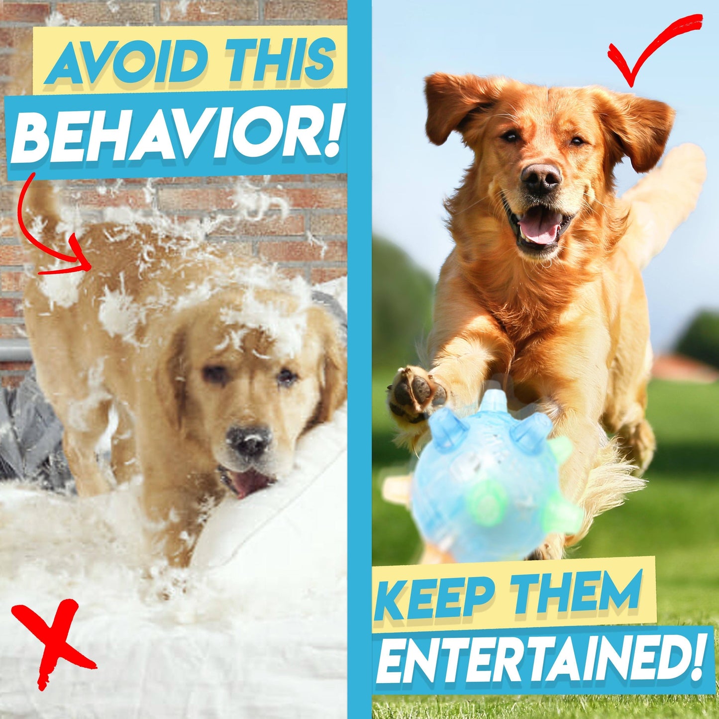 Jumping Activation Ball for Dogs