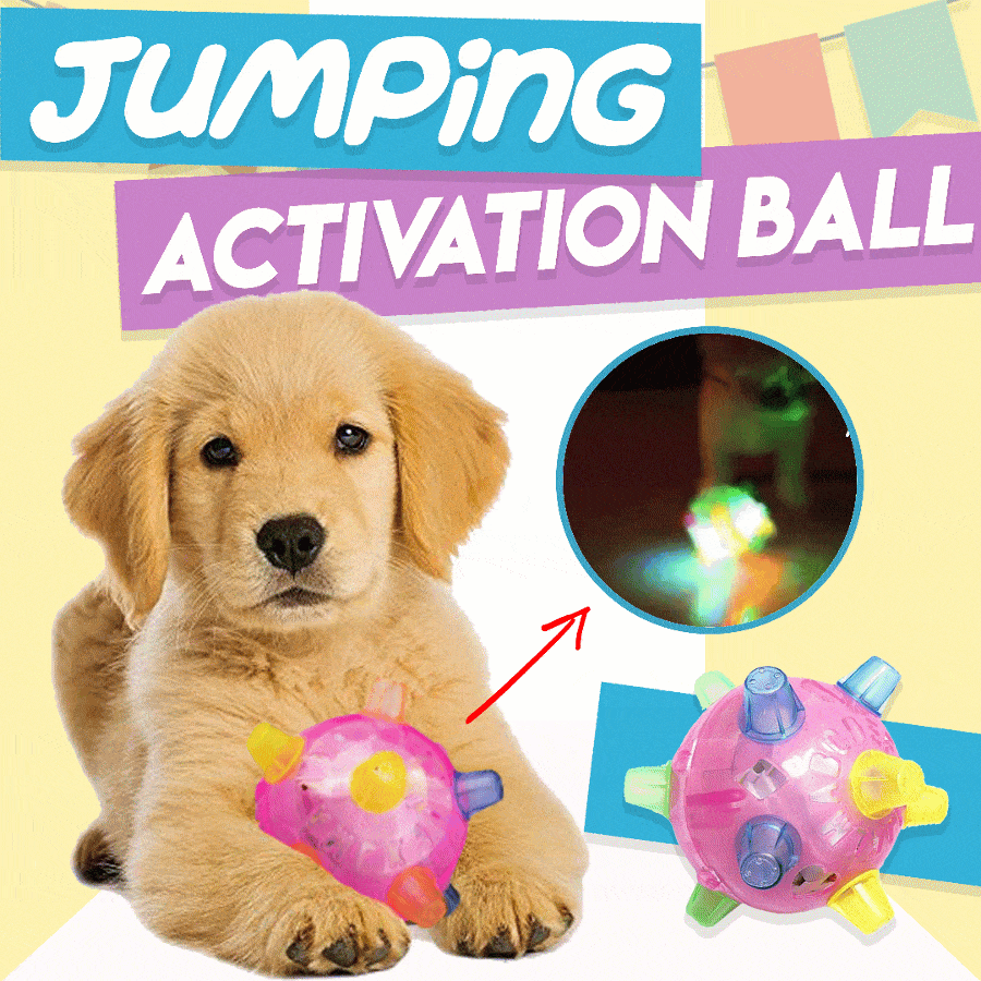 Jumping Activation Ball for Dogs