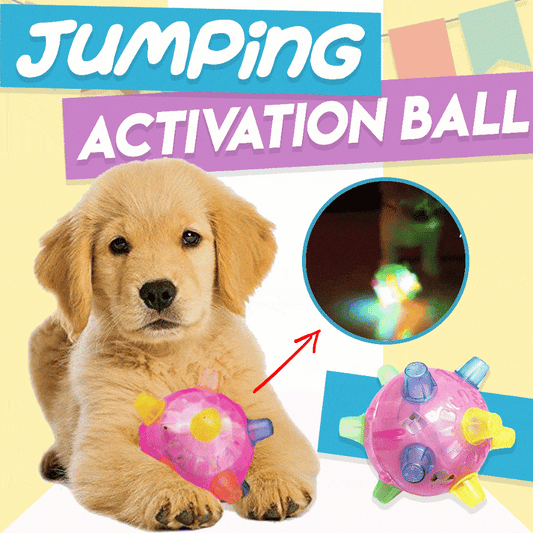 Jumping Activation Ball for Dogs