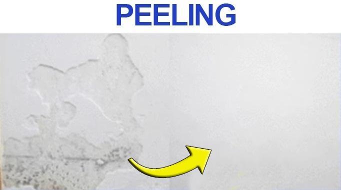 Wall Repairing Ointment