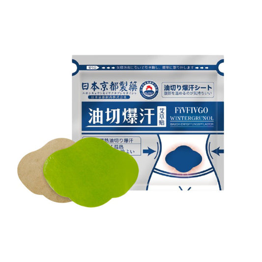 Fivfivgo™ Japan Infrarot Suana Therapie Wintergrün Entgiftungspflaster