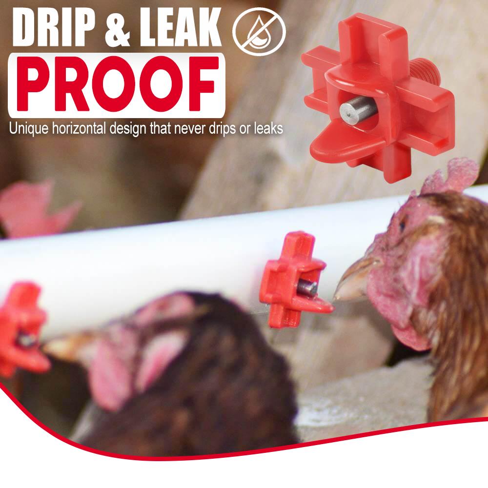 Side Mount Chicken Waterer