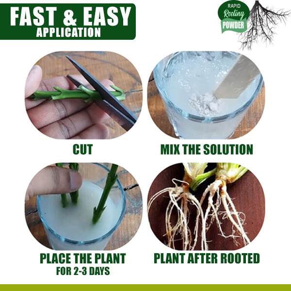Rapid Rooting Powder