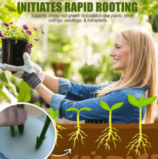 Rapid Rooting Powder