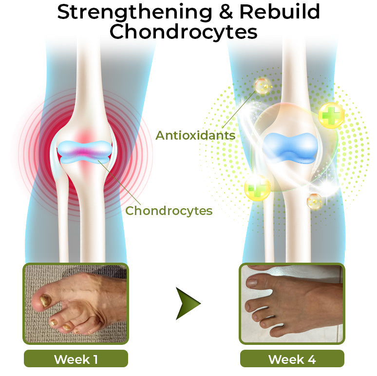 Fivfivgo™ Crocodile Oil Joint Therapy Balm