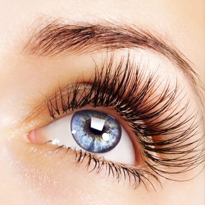 Sunflower Electric Eyelash Curler Eyelash Curlers Every Day And Night 