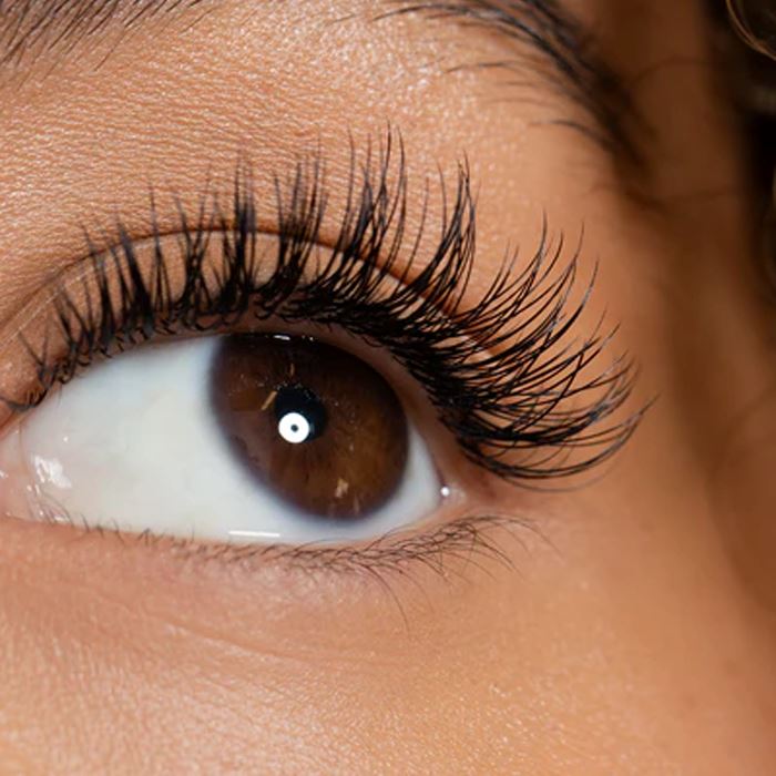 EyeLash Block Mascara Helper Eyelash Curlers Every Day And Night 