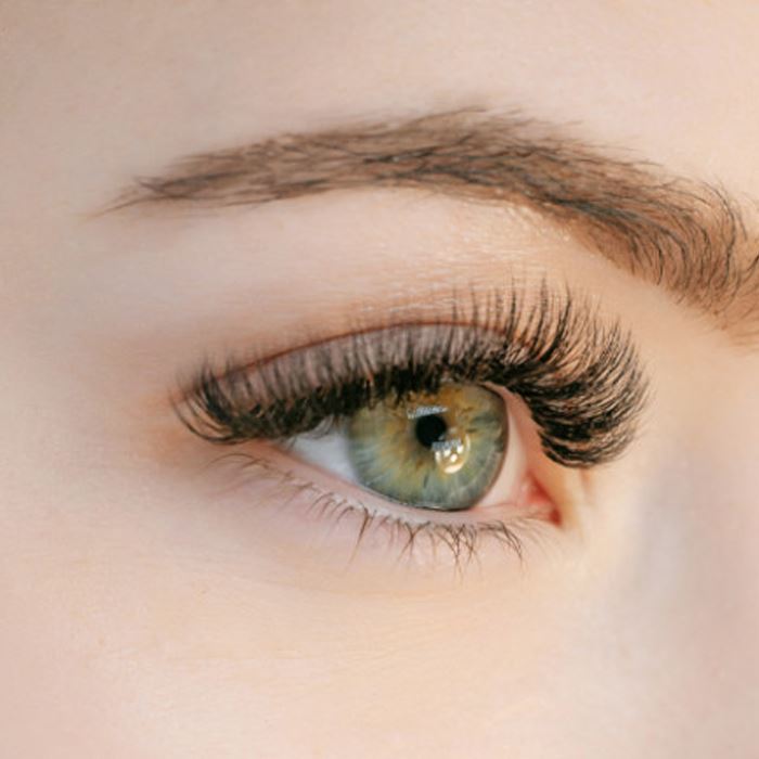 Sunflower Electric Eyelash Curler Eyelash Curlers Every Day And Night 