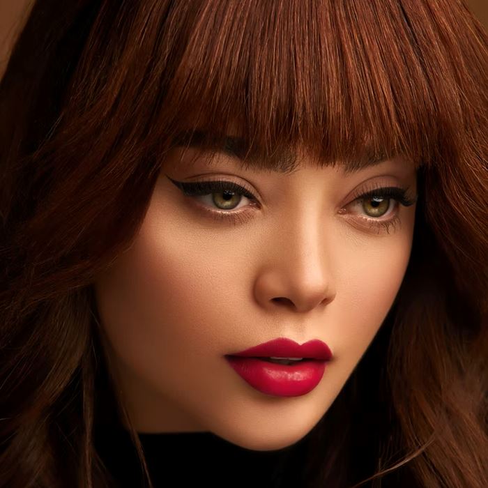 5in1 Bullet Lipstick Pen Make-up Every Day And Night 