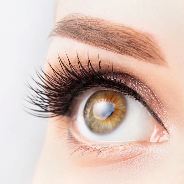EyeLash Block Mascara Helper Eyelash Curlers Every Day And Night 